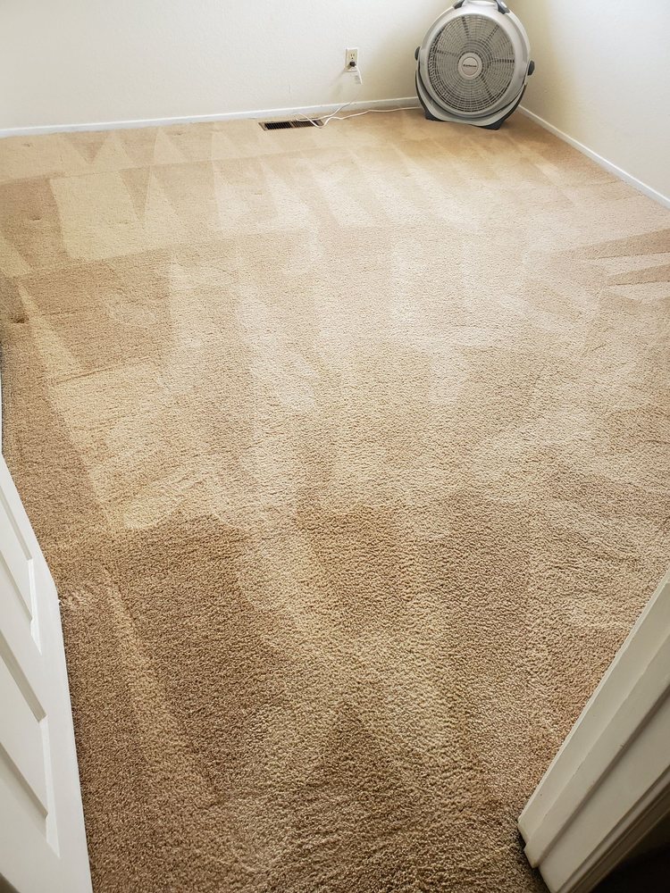 BLUE DIAMOND CARPET AND UPHOLSTERY CLEANING Updated May 2024 10