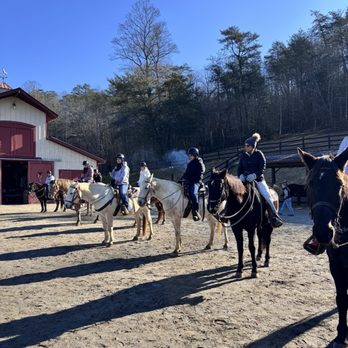 Brasstown Valley Stables - Line up for trail riding - Horseback Riding Near Me - Young Harris, Georgia