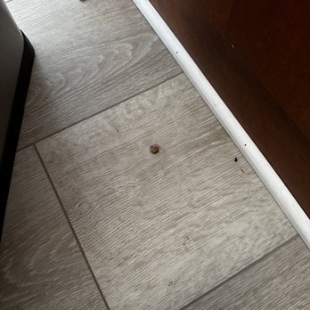 The Perfect Sweep - Home Cleaning Near Me The Perfect Sweep - Home Cleaning Near Me