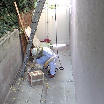A Bee Solution - Bees in a box - Pest Control Near Me - North Hollywood, California A Bee Solution - Bees in a box - Pest Control Near Me - North Hollywood, California