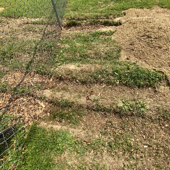 A Top Notch Tree Service - Large ruts in the yard - Tree Services Near Me