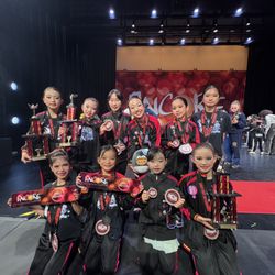 Lisa Performing Arts