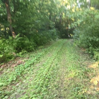 Meister Tree Care - Tree Services Near Me - Dixon, Illinois