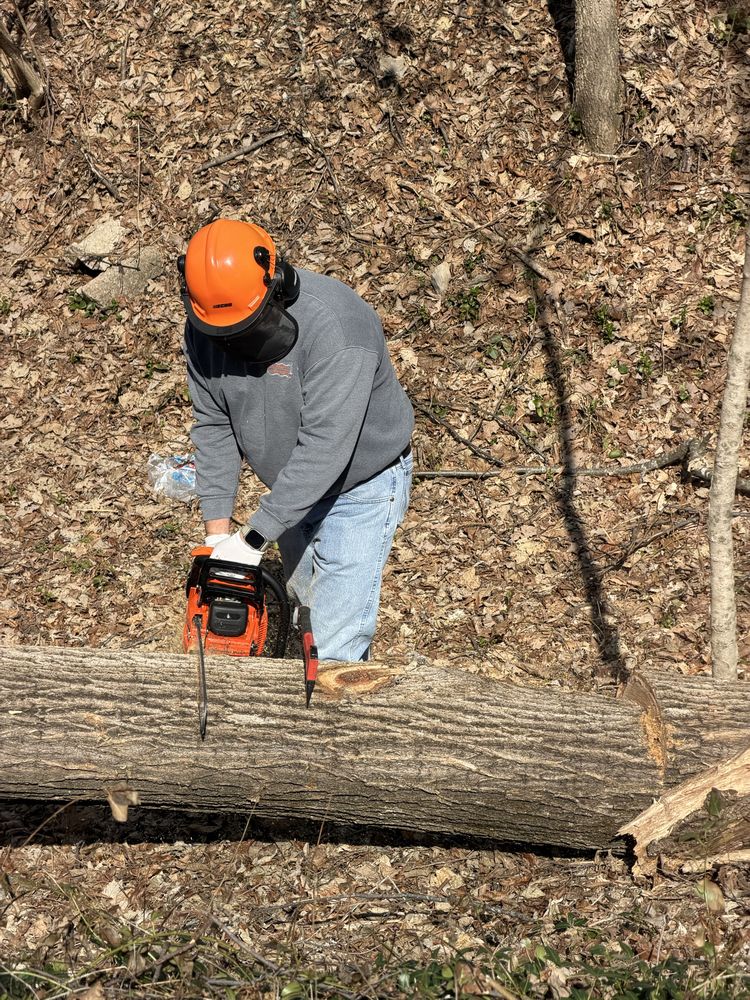Josh Martin Tree Service - tree service in Franklin, TN