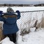 Photo of Alaska Dog Mushers Association