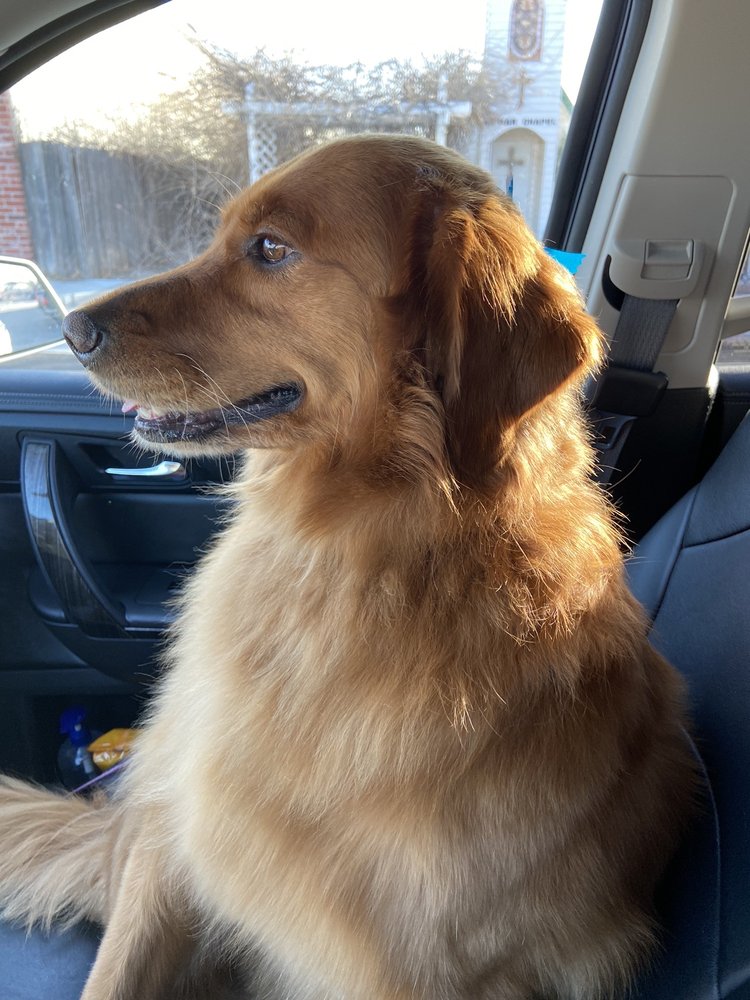 JUST FUR DOGS Updated September 2024 201 N Armstrong, Bixby