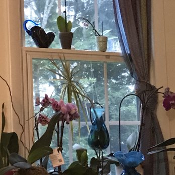 Nedra Lee Friedman, RN,MS,CS - Counseling & Mental Health Near Me - Upton, Massachusetts Nedra Lee Friedman, RN,MS,CS - Counseling & Mental Health Near Me - Upton, Massachusetts