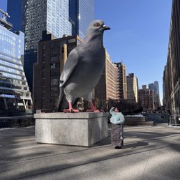 Saluting our feathered comrade