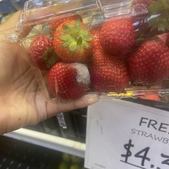 Mi Rancho - Mold Mold Mold!!!! - International Grocery Near Me - Sacramento, California Mi Rancho - Mold Mold Mold!!!! - International Grocery Near Me - Sacramento, California