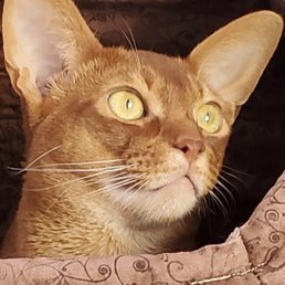 Checking out the birds. Checking out the birds.