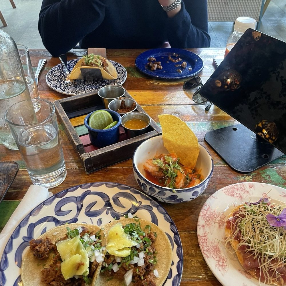 Tacology - Mexican Near Me - Miami, Florida Tacology - Mexican Near Me - Miami, Florida