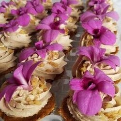 Apple Tree Vegan Pastries - Vegan Mini Cupcakes!