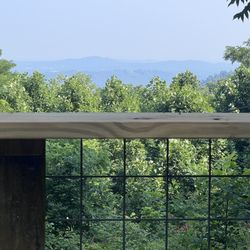 Enjoying the views from the back porch