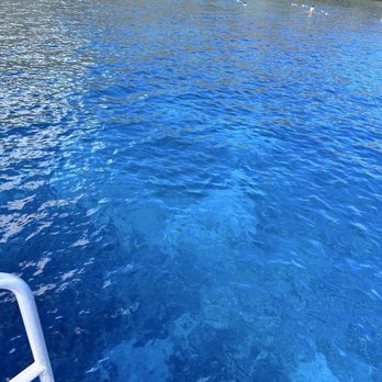 Calypso Charters - What is more beautiful than this clear water! - Snorkeling Near Me - Wailuku, Hawaii