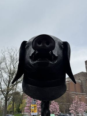 Princeton University by null