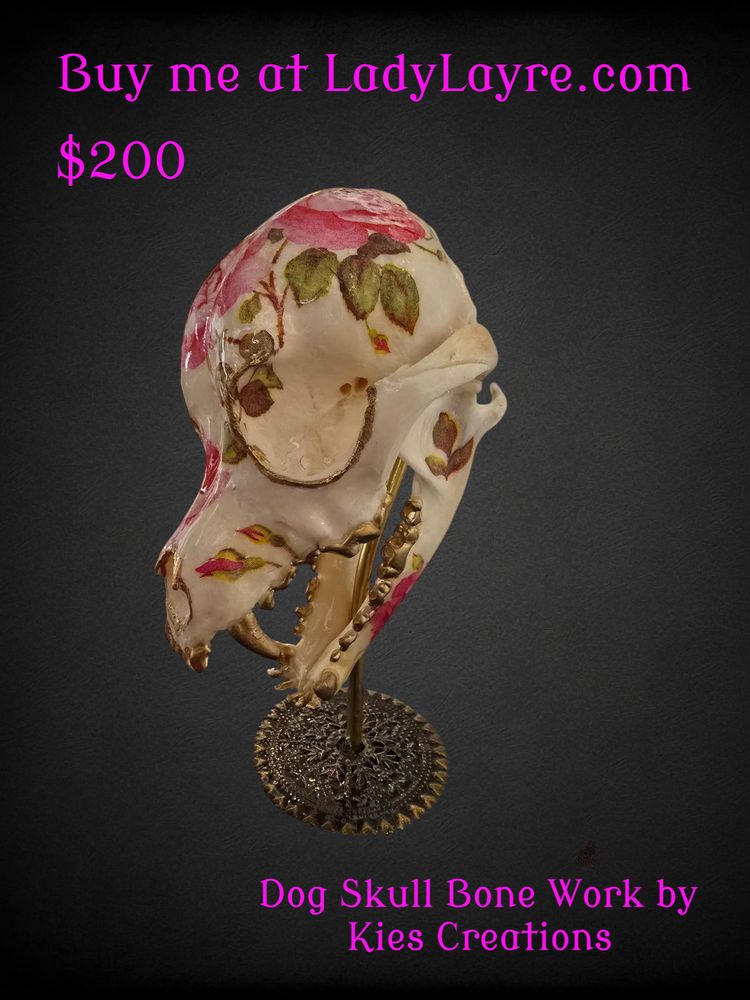 The Lady Layre - taxidermy in St. Louis, MO