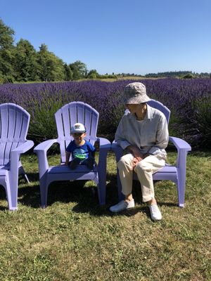 FAT CAT GARDEN & GIFT - Flowers & Gifts - 21 Fat Cat Ln, Sequim, WA