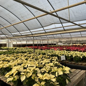 TLC Garden Centers - Nurseries & Gardening Near Me - Oklahoma City, Oklahoma TLC Garden Centers - Nurseries & Gardening Near Me - Oklahoma City, Oklahoma