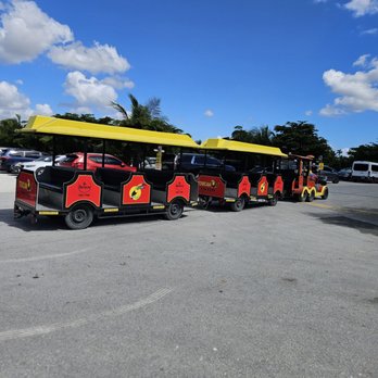 By Brothers - The train - Fruits & Veggies Near Me - Miami, Florida By Brothers - The train - Fruits & Veggies Near Me - Miami, Florida