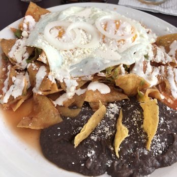 Flores café and spa dog - Chilaquiles with egg - Coffee & Tea Near Me - Mérida, YUC