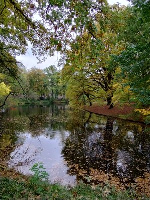 Courtyard Bremen by null