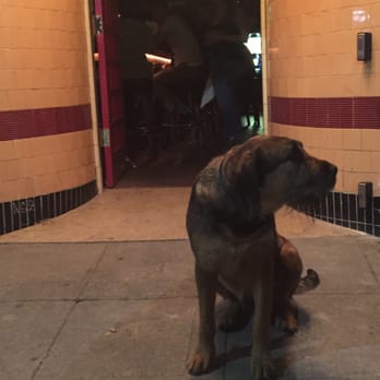 Wolfhound - Rufus the wolfhound in front of the bar named for him. - Dive Bars Near Me - Oakland, California