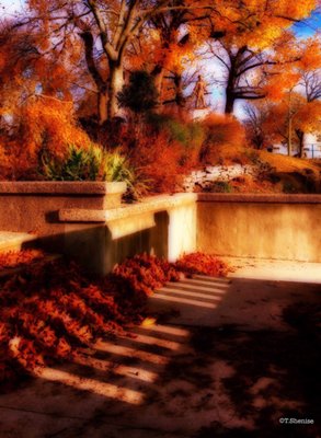 Leonard Gordon Park by null