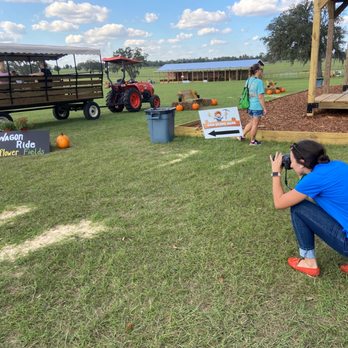 Amber Brooke Farms Williston - Wagon ride area - Pick Your Own Farms Near Me - Williston, Florida Amber Brooke Farms Williston - Wagon ride area - Pick Your Own Farms Near Me - Williston, Florida