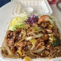 Spicy chicken teriyaki plate with bed of rice and salad.