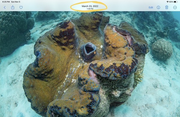 Passions of Paradise - Great Barrier Reef Tours Cairns by null