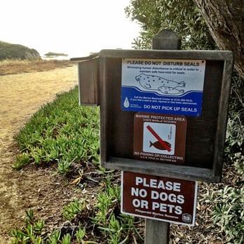 Fitzgerald Marine Reserve - Maxie had to stay behind. - Parks Near Me - Moss Beach, California Fitzgerald Marine Reserve - Maxie had to stay behind. - Parks Near Me - Moss Beach, California