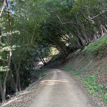 Rancho San Antonio Preserve - Trail - Parks Near Me - Los Altos, California Rancho San Antonio Preserve - Trail - Parks Near Me - Los Altos, California