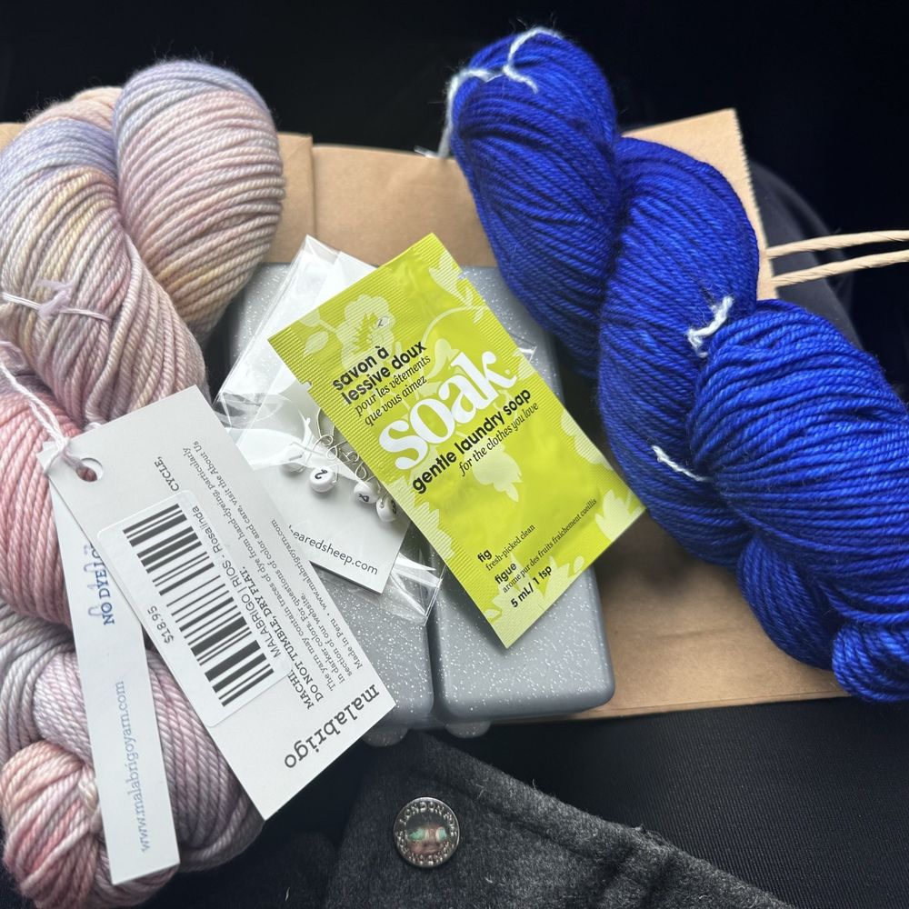 Fiber Fever - Stitch markers, 2 skeins and stitch marker container - Knitting Supplies Near Me - Milwaukee, Wisconsin