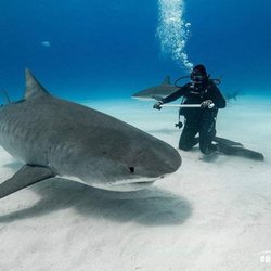 Epic Diving - Me, with Emma (phot by EPIC DIVING)