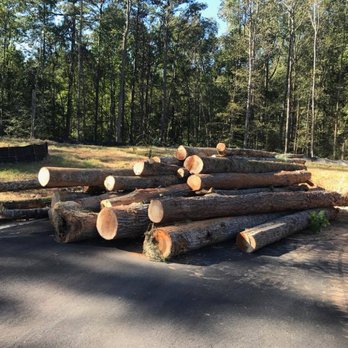 Arborwise - Tree Services Near Me - Braselton, Georgia Arborwise - Tree Services Near Me - Braselton, Georgia