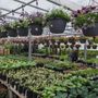 Photo of Garrys Garden Gallery
