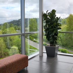 Washington Gastroenterology - Issaquah - View from 3rd Floor Elevator Lobby (WAGI is located in suite 303)
