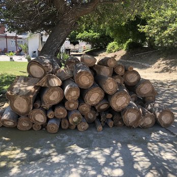 Bernabe Tree Service - Fire logs - Tree Services Near Me - Riverside, California