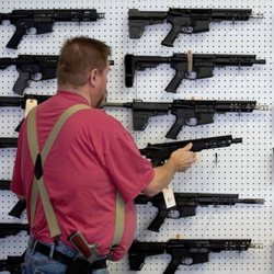 Revolutionary Firearms And Supplies - Grab your Gun and shoot your way to victory