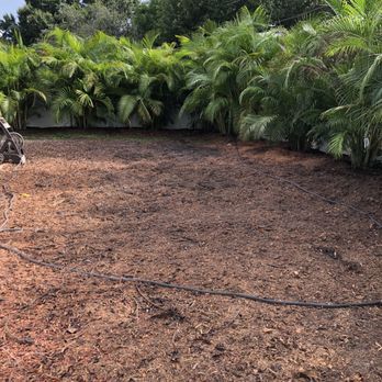 Greater Bay Area Tree & Arborist Services - Banyan tree gone! - Tree Services Near Me - Seminole, Florida Greater Bay Area Tree & Arborist Services - Banyan tree gone! - Tree Services Near Me - Seminole, Florida