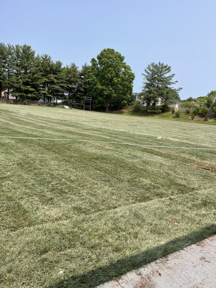 Slide of Marcia Excavating