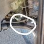 Photo of Spooners Auto