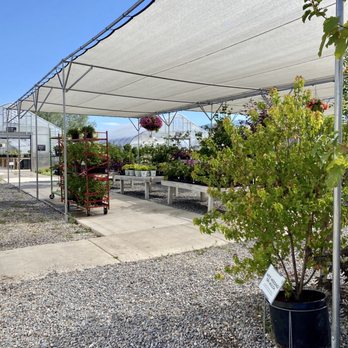 Freckle Farm - Outside - Florists Near Me - Hyde Park, Utah