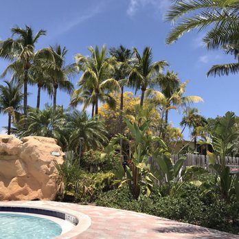 Bogie's Cafe - View from Tiki Bar - American Near Me - Key Largo, Florida