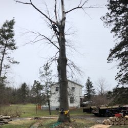 Erik's Tree Service