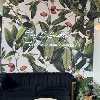 Early Bird Coffee - Seating area - Coffee & Tea Near Me - San Antonio, Texas