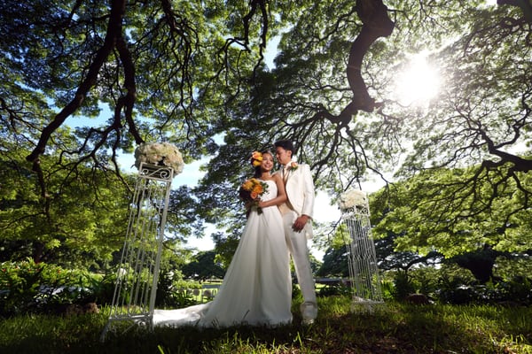 Moanalua Gardens by null