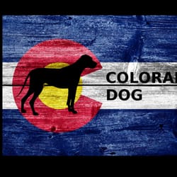 Colorado Dog