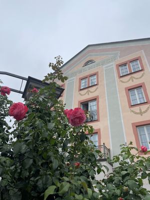 Hotel Hirsch by null