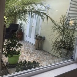 A Handyman For You - A patio and French door installed by Von, including the new window we are looking out of!